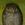 20120306091449-owl_final_200