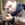 20120205084423-stringio