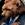 20120207162153-bearcrop