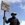 16353