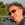 20120208084544-img_0499