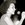20120214101017-profile_picture