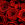 20120211150346-red-roses-photo
