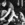 20120212195847-steve_bike_dog