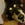 20120213070456-rocky