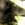 20120214112506-sumana