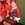 20120214121833-djs_w_heisman