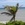 20120214124242-stringio