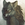 20120214191408-sugarb