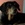 20120216073731-stringio