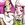 20120216121904-fafi2