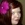 20120219021522-stringio