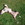 20120219114607-vic17-07-07_002
