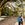 20120219124136-me_eli_and_birds