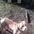 20120219173236-stringio