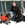 20120220140549-dogsatthelake