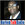 20120222091936-nizer_picture