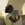 20120228052159-stringio