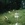 20120228115258-stringio