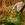 20120301141738-stringio