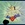 20120401193943-powdered-toastman-001-cel