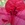 20120405152645-pinkflower