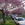 20120418092844-cimg1366
