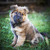 20120419152511-moki-7226