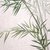 20120429110117-bamboo