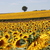 20121026003436-kinderwagon_059