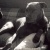 20120517131831-stringio