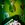 20120107100512-378914_2730024816947_1447023803_2955316_93536436_n20120107-5551-1y0o8z1-0