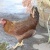 20120628003003-stringio