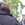 20120322042457-q