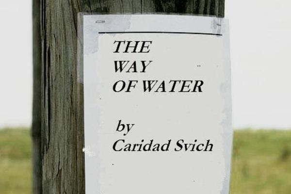 20120304221236-thewayofwater_graphic1