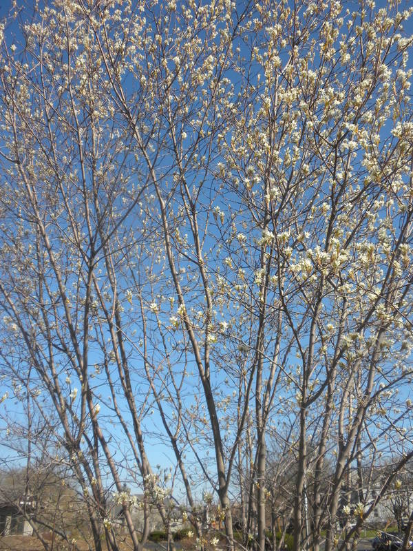 20120404152815-dscn5682