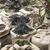"Slumber Party Garden" Winterizing (One Method)