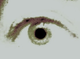20120613204746-024_-_copy_5_-_copy