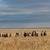 Lakota riders