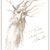 Alan Lee 2