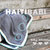 Haiti Babi