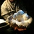A 20 + Oz  Gourmet Oyster Mushroom