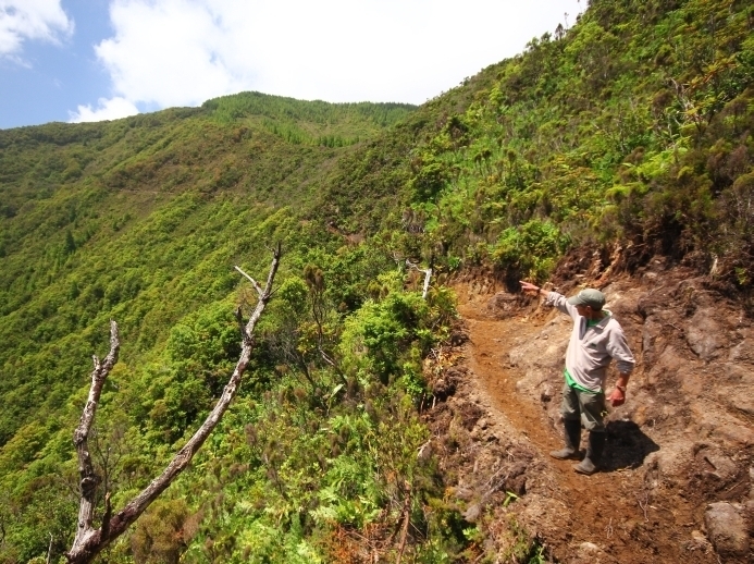 Conservation Work in Malhada