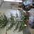 Coyle intern, Phillip, sanding by the XMAS tree