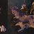 Evolution of an island