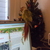 Upgrading my blog!