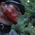 Short Film Production Still