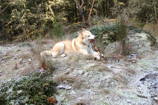 20130113162357-image