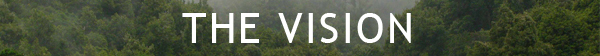 The Vision