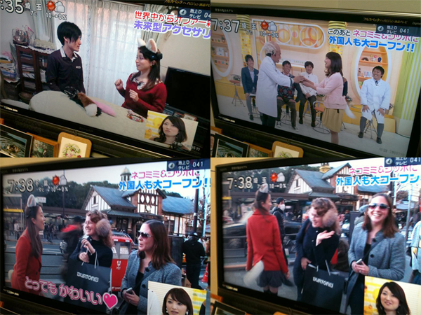 20130208173053-tailly_tv_